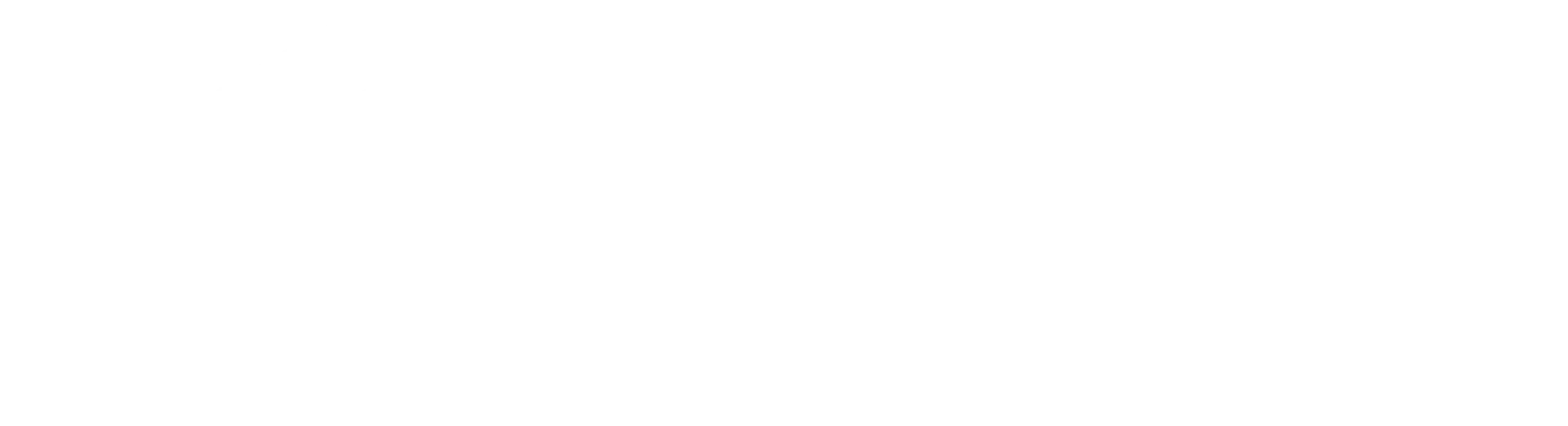 Sg Basculas Logo Blanco